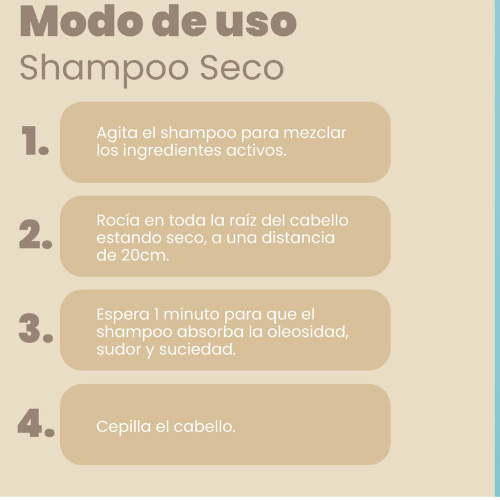 Shampoo Seco especial